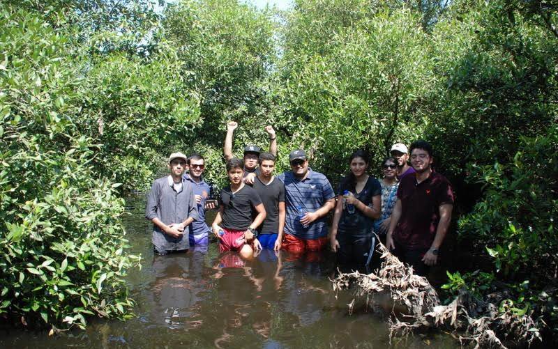 WWF Mangrove Conservation